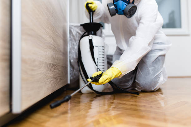 Best Pest Removal Services  in Tybee Island, GA